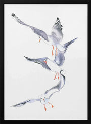 Seagull Flight - Isabelle Brent Framed Art | Home or Office Art