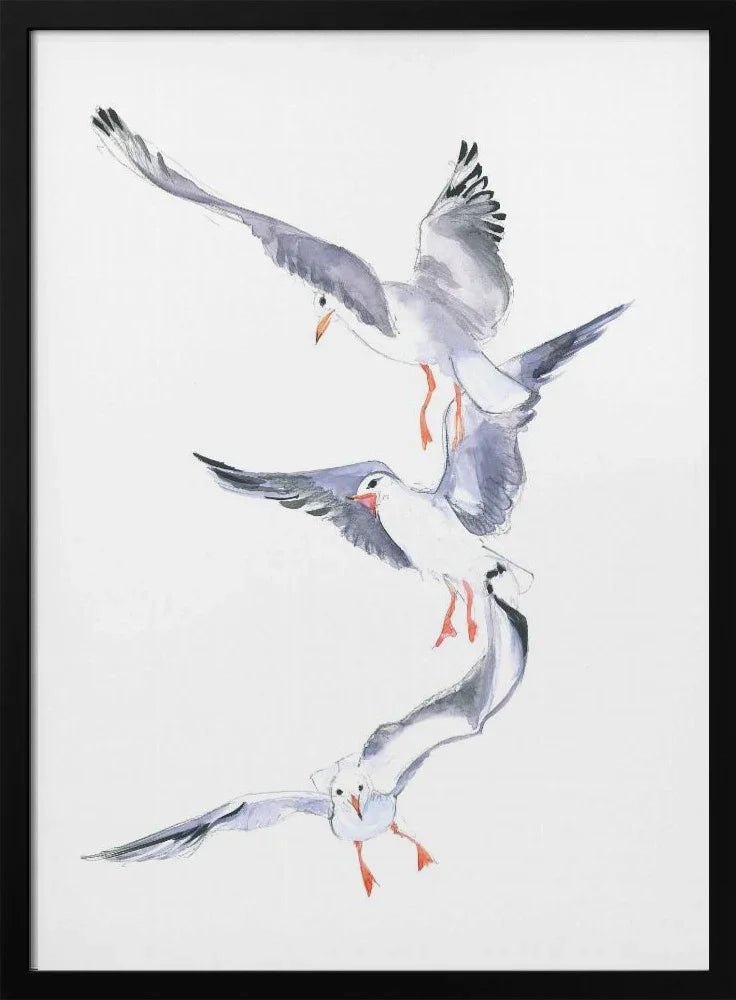 Seagull Flight - Isabelle Brent Framed Art | Home or Office Art