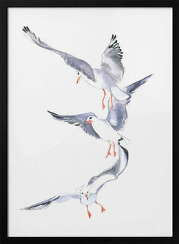 Seagull Flight - Isabelle Brent Framed Art | Home or Office Art