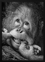 Big Smile.....please Framed Art Angela Muliani Hartojo | Home or Office Art