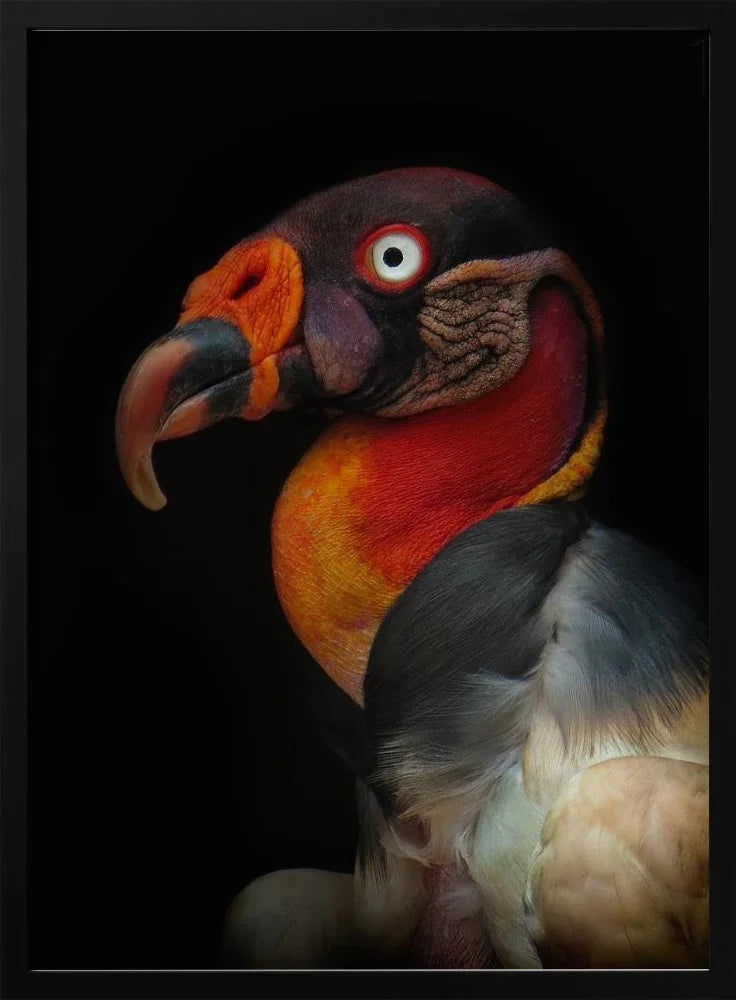 Explore Peru's Artistic Heritage: Timeless Art & Culture Collection