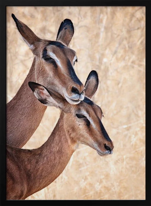 Do not worry, I'm here Framed Art Mathilde Guillemot | Home or Office Art