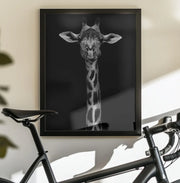 Giraffe Portrait Framed Art WildPhotoArt | Home or Office Art