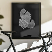 White Love Framed Art Andi Halil | Home or Office Art