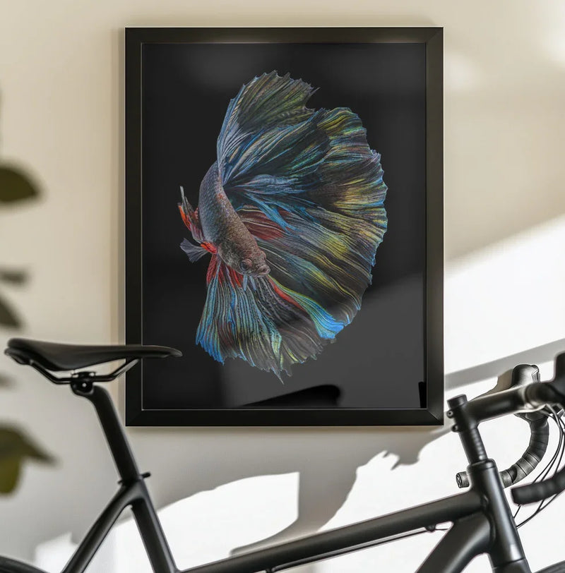The  Betta Fish Framed Art Andi Halil | Home or Office Art