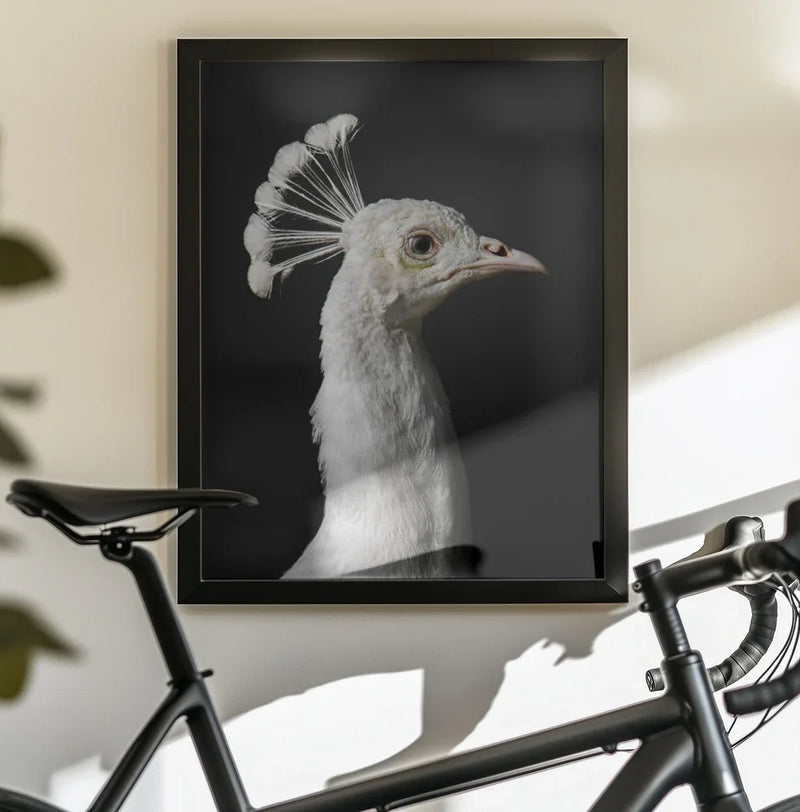 M A J E S T I C Framed Art fegari | Home or Office Art