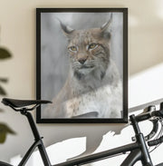 Lynx portrait in the fog Framed Art Santiago Pascual Buye | Home or Office Art
