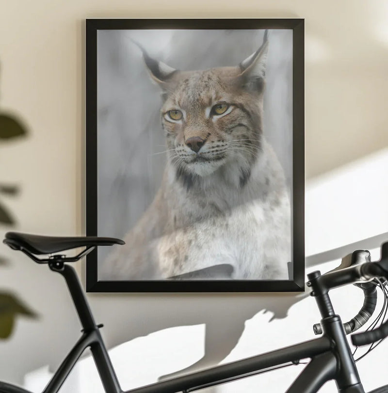 Lynx portrait in the fog Framed Art Santiago Pascual Buye | Home or Office Art
