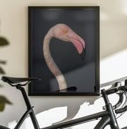 F L A M B O Y A N C E Framed Art fegari | Home or Office Art