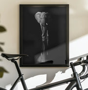 Elephant Framed Art Jie Fischer | Home or Office Art