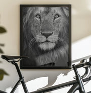 Royal portrait Framed Art Xavier Ortega | Home or Office Art