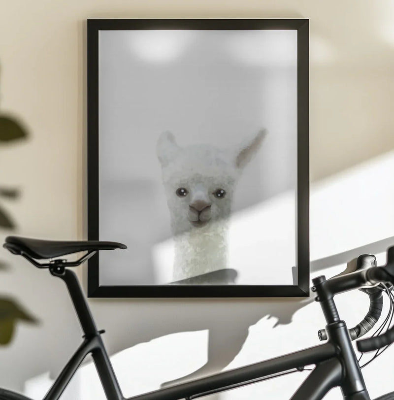 Llama Framed Art Pictufy Studio II | Home or Office Art
