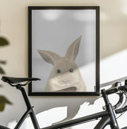 Rabbit Framed Art Pictufy Studio II | Home or Office Art