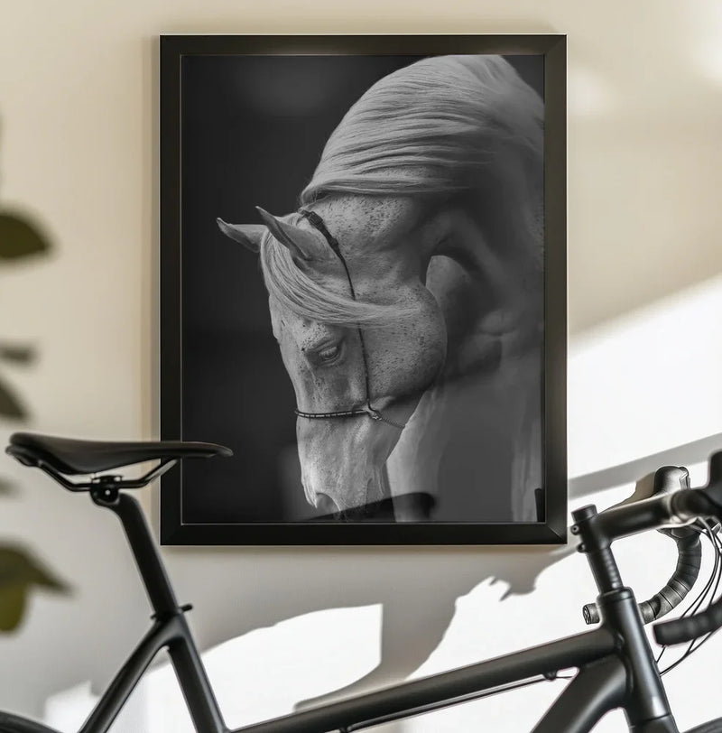 white stallion Framed Art Ulrike Leinemann | Home or Office Art