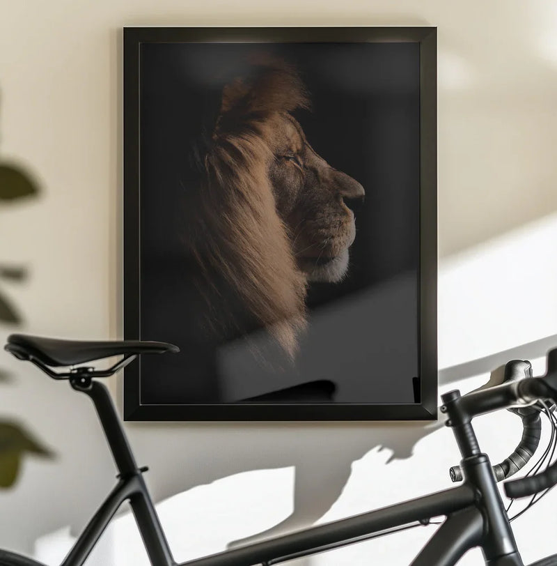 Sleeping King Framed Art Peter Schade | Home or Office Art