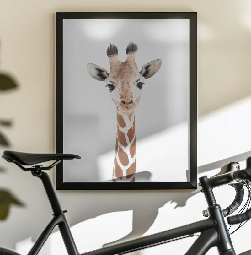 Baby Giraffe Framed Art Kathrin Pienaar | Home or Office Art