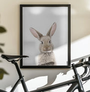Baby Rabbit Framed Art Kathrin Pienaar | Home or Office Art