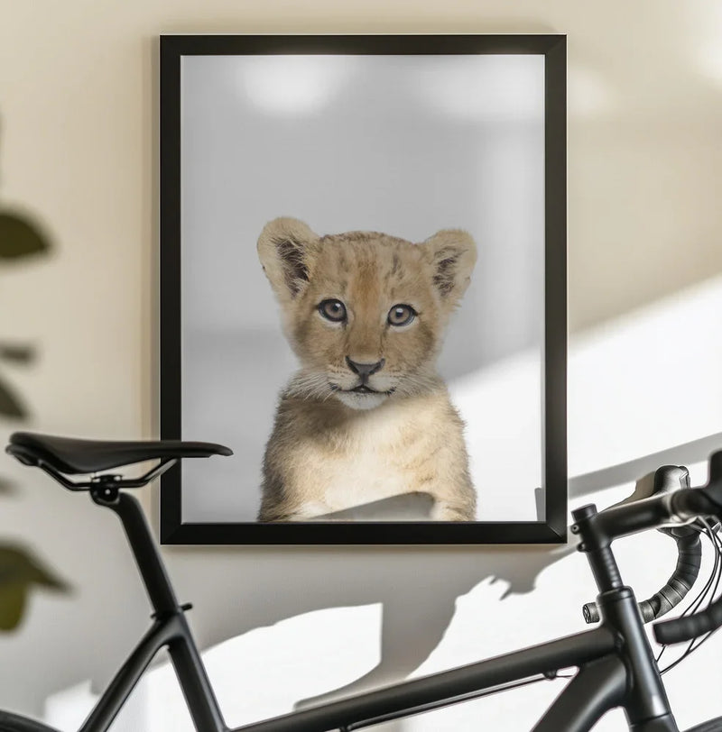 Baby Lion Framed Art Kathrin Pienaar | Home or Office Art