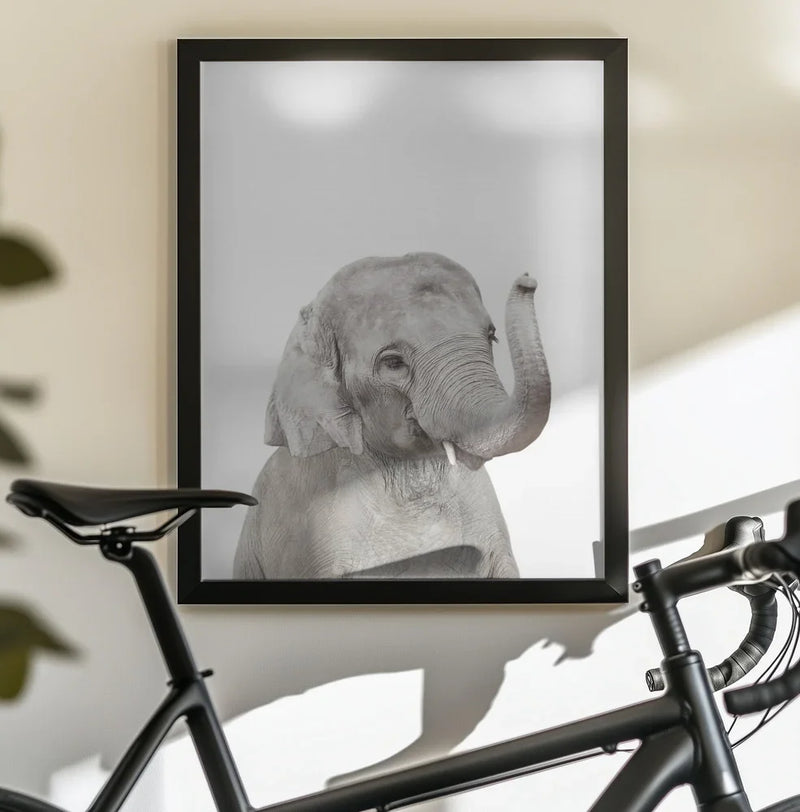Baby Elephant Framed Art Kathrin Pienaar | Home or Office Art