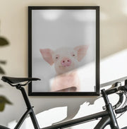 Baby Pig Framed Art Kathrin Pienaar | Home or Office Art