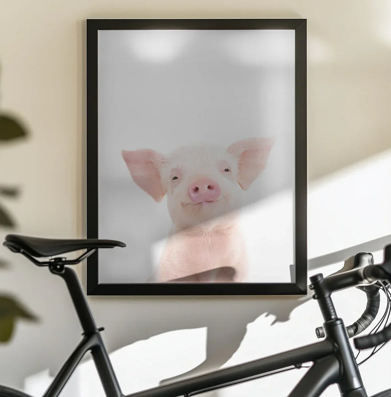 Baby Pig Framed Art Kathrin Pienaar | Home or Office Art