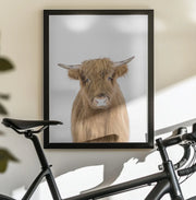Baby Cow Framed Art Kathrin Pienaar | Home or Office Art