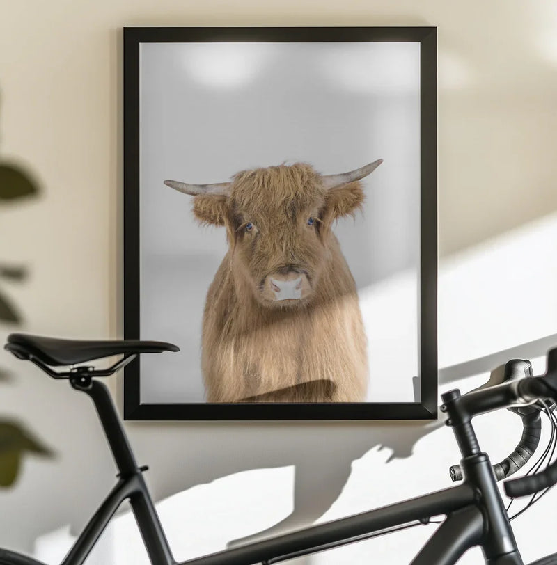 Baby Cow Framed Art Kathrin Pienaar | Home or Office Art