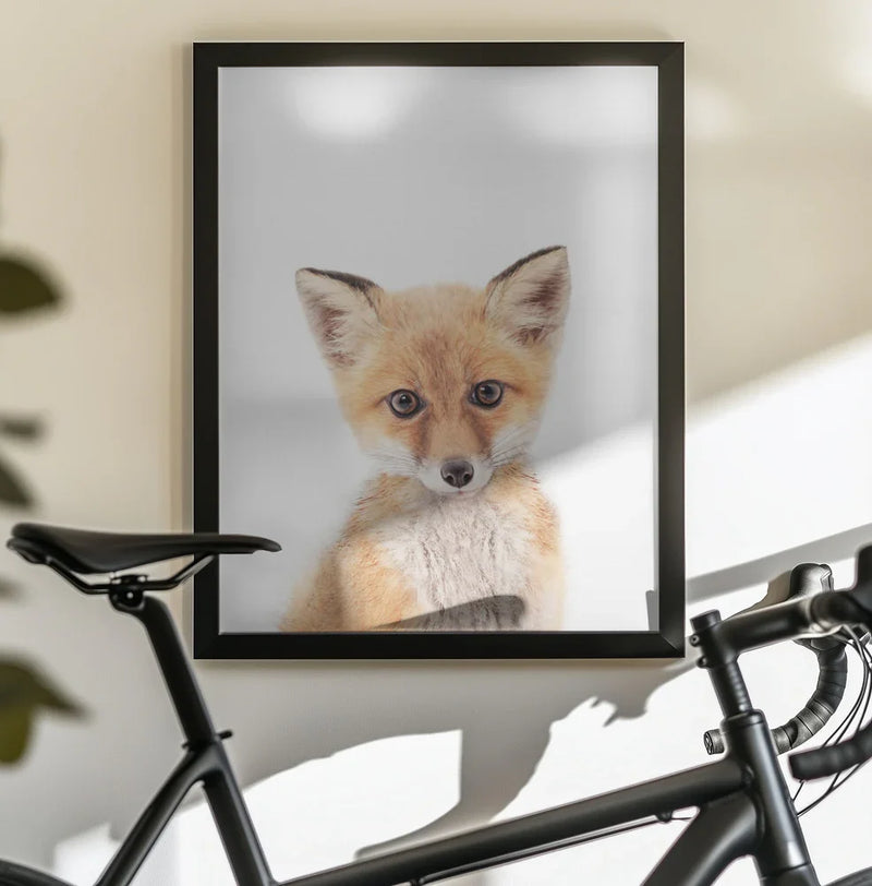 Baby Fox Framed Art Kathrin Pienaar | Home or Office Art
