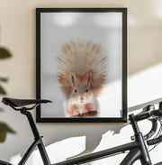 Baby Squirel Framed Art Kathrin Pienaar | Home or Office Art
