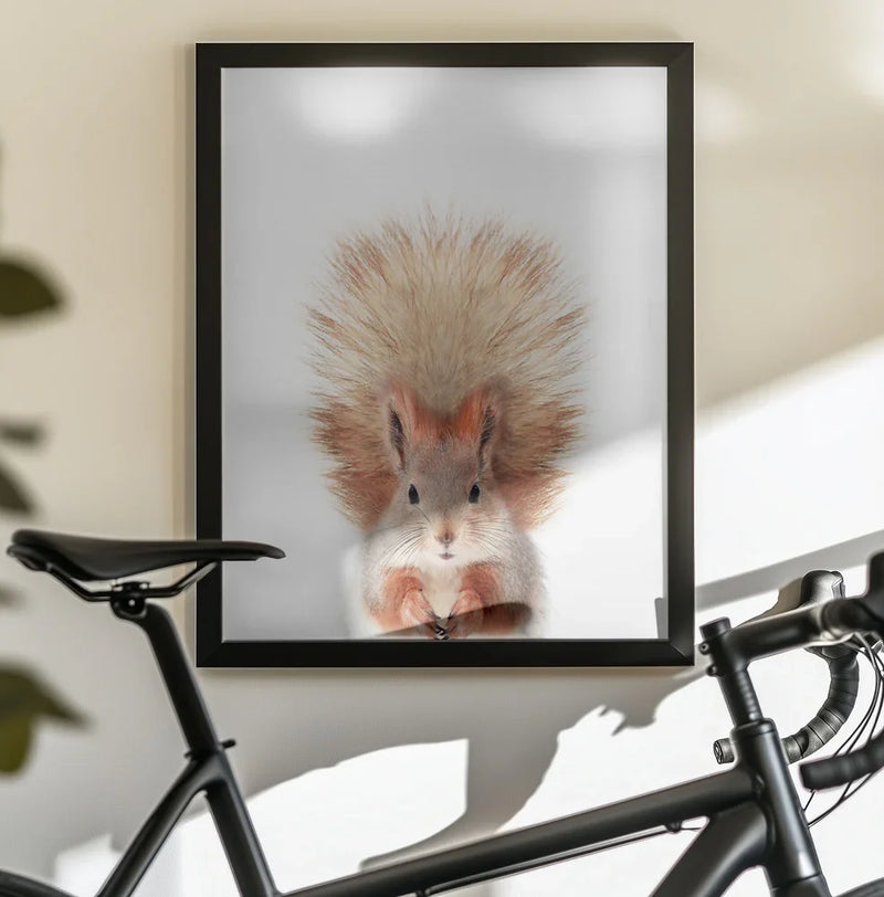 Baby Squirel Framed Art Kathrin Pienaar | Home or Office Art