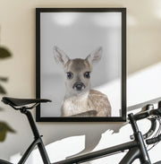 Baby Deer Framed Art Kathrin Pienaar | Home or Office Art
