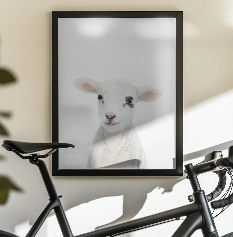Baby Lamb Framed Art Kathrin Pienaar | Home or Office Art
