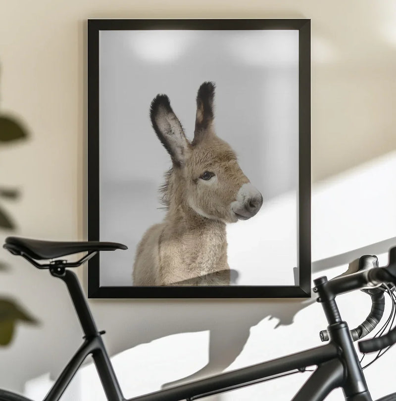 Baby Donkey Framed Art Kathrin Pienaar | Home or Office Art