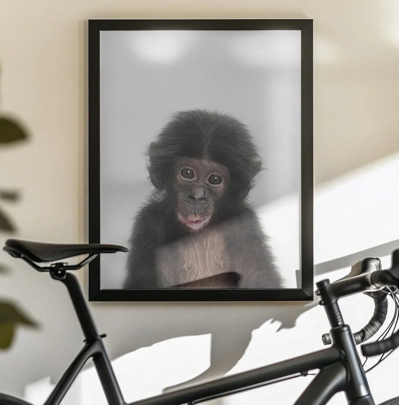 Baby Monkey Framed Art Kathrin Pienaar | Home or Office Art