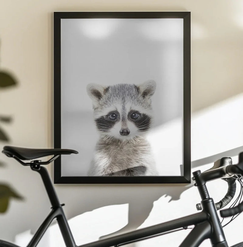 Baby Racoon Framed Art Kathrin Pienaar | Home or Office Art