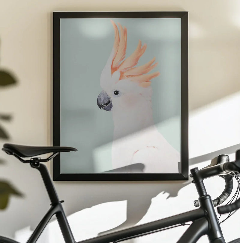 Cockatoo Framed Art Kathrin Pienaar | Home or Office Art