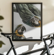 Amazonia Framed Art Shot by Clint | Home or Office Art