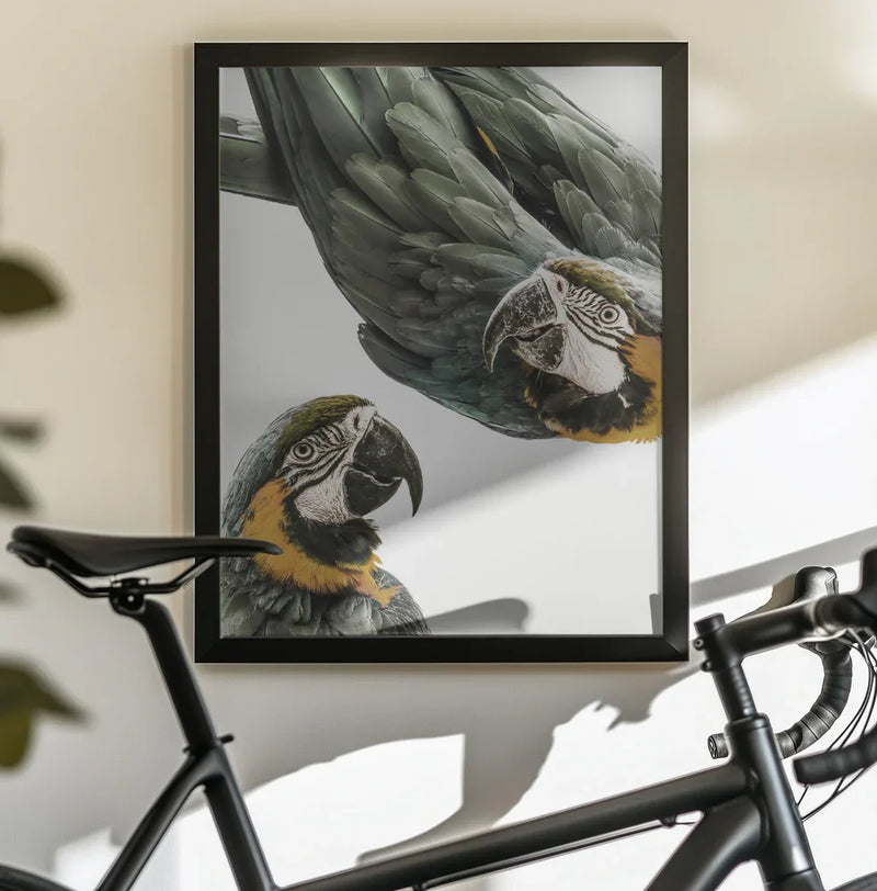 Amazonia Framed Art Shot by Clint | Home or Office Art