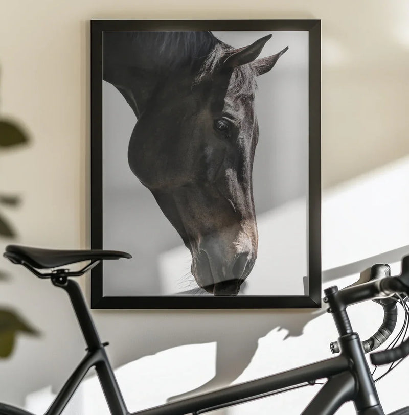 Bingo Framed Art Shot by Clint | Home or Office Art