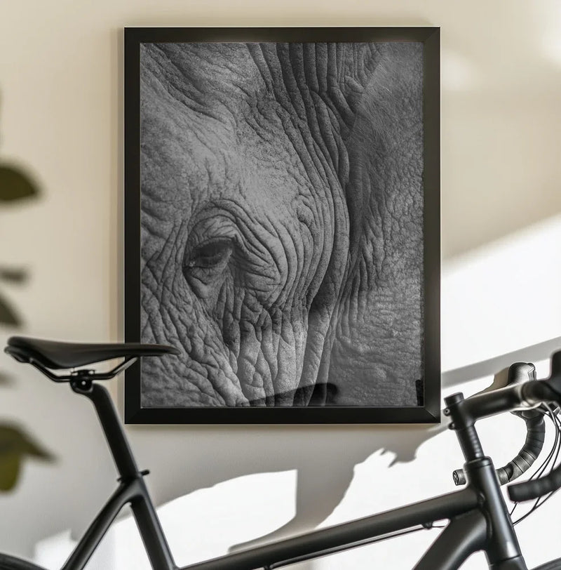 Elephant Study Framed Art Shot by Clint | Home or Office Art