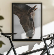 Kalimazoo Framed Art Shot by Clint | Home or Office Art