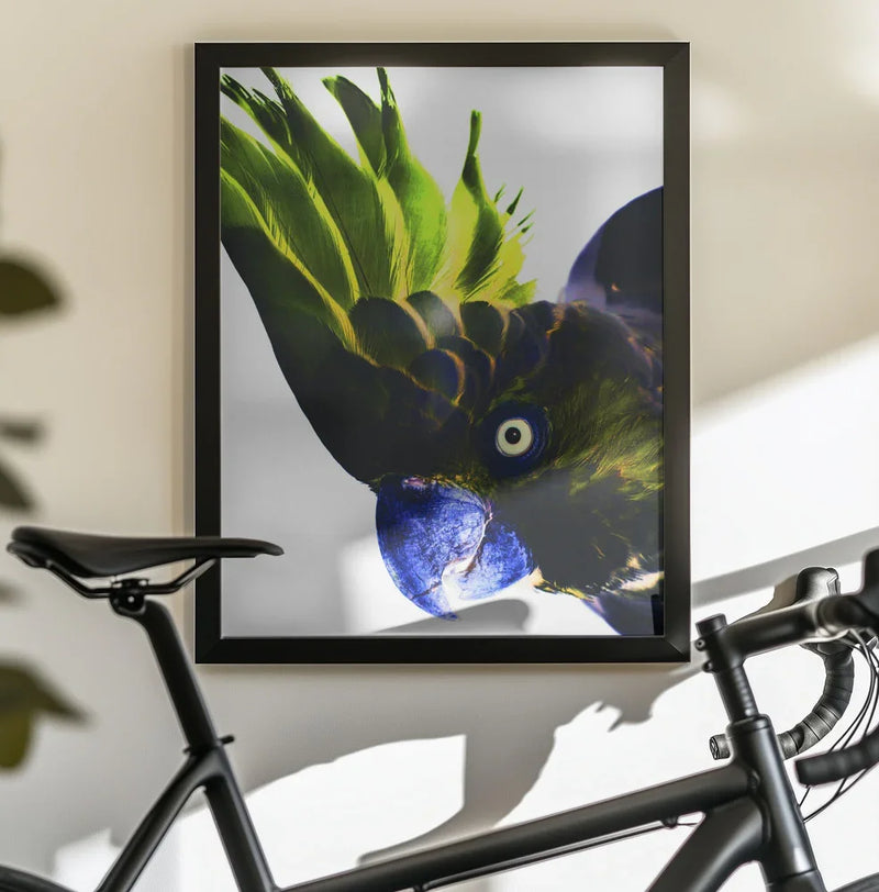 Punk Rocker Framed Art Shot by Clint | Home or Office Art