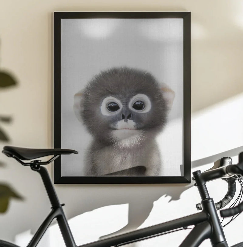 Peekaboo Baby Monkey Framed Art Lola Peacock | Home or Office Art