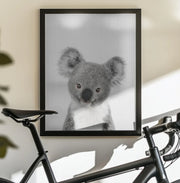 Peekaboo Baby Koala Framed Art Lola Peacock | Home or Office Art