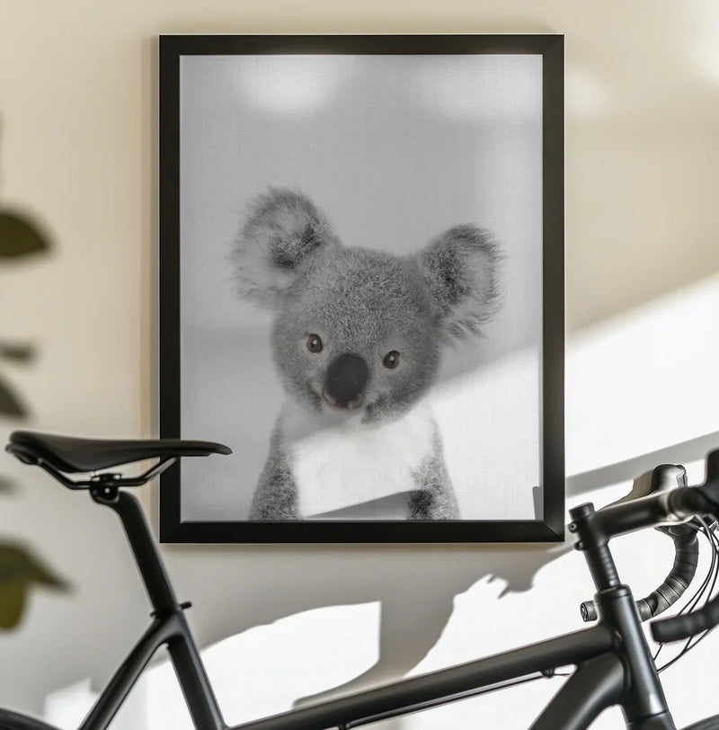 Peekaboo Baby Koala Framed Art Lola Peacock | Home or Office Art