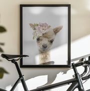 Floral Baby Llama Framed Art Lola Peacock | Home or Office Art