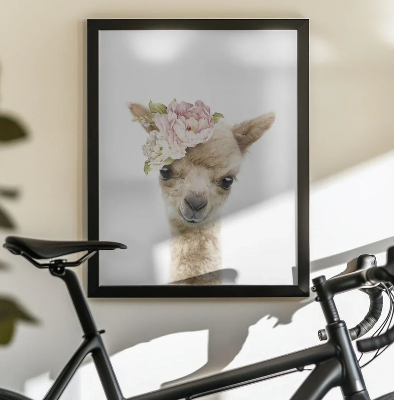 Floral Baby Llama Framed Art Lola Peacock | Home or Office Art