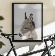 Peekaboo Baby Donkey Framed Art Lola Peacock | Home or Office Art