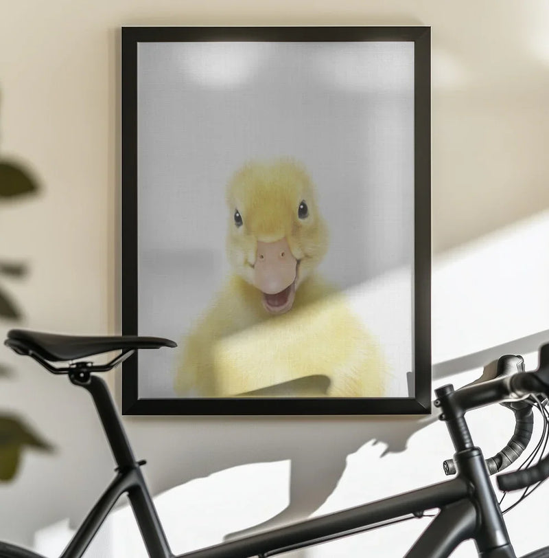 Peekaboo Baby Duck Framed Art Lola Peacock | Home or Office Art