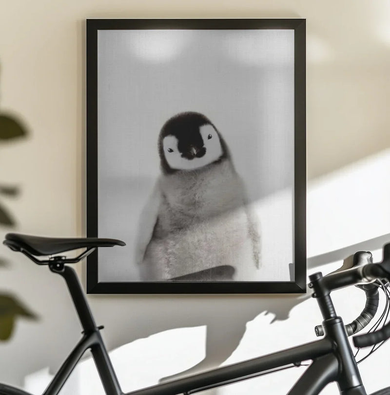 Peekaboo Baby Penguin Framed Art Lola Peacock | Home or Office Art